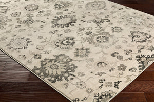Livabliss Mesopotamia Traditional Polypropylene Accent Rug for Entryway Bathroom Compact Spaces MEP2308-35