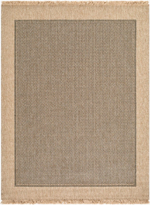 Livabliss Mirage Flatweave Polypropylene Rug with Fringe Farmhouse Cottage Style for Any Room Tan, Black 2'2" x 3'9" MGE2305-2745