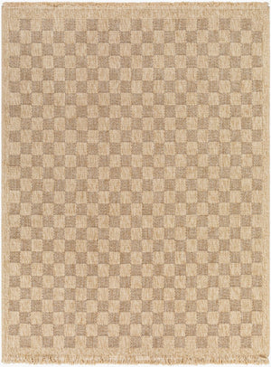 Livabliss Mirage Flatweave Polypropylene Area Rug with Fringe Farmhouse Cottage Boho Entryway Tan, Dark Brown 9'2" x 12' MGE2310-9212
