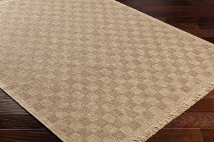 Livabliss Mirage Flatweave Polypropylene Area Rug with Fringe Farmhouse Cottage Boho Entryway Tan, Dark Brown 9'2" x 12' MGE2310-9212