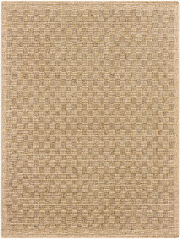 Livabliss Mirage Flatweave Polypropylene Area Rug with Fringe Farmhouse Cottage Boho Entryway Tan, Dark Brown 7'10" x 10' MGE2310-71010