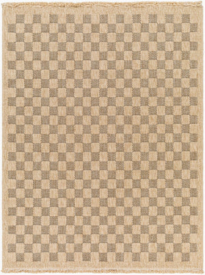 Livabliss Mirage Farmhouse Fringe Accent Rug Flat Weave Polypropylene for Entryway or Patio Tan, Black 3'11" x 5'7" MGE2311-31157