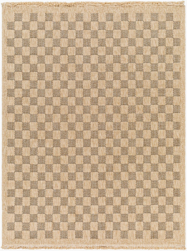 Livabliss Mirage Farmhouse Fringe Accent Rug Flat Weave Polypropylene for Entryway or Patio Tan, Black 3'11" x 5'7" MGE2311-31157
