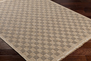 Livabliss Mirage Farmhouse Fringe Accent Rug Flat Weave Polypropylene for Entryway or Patio Tan, Black 3'11" x 5'7" MGE2311-31157