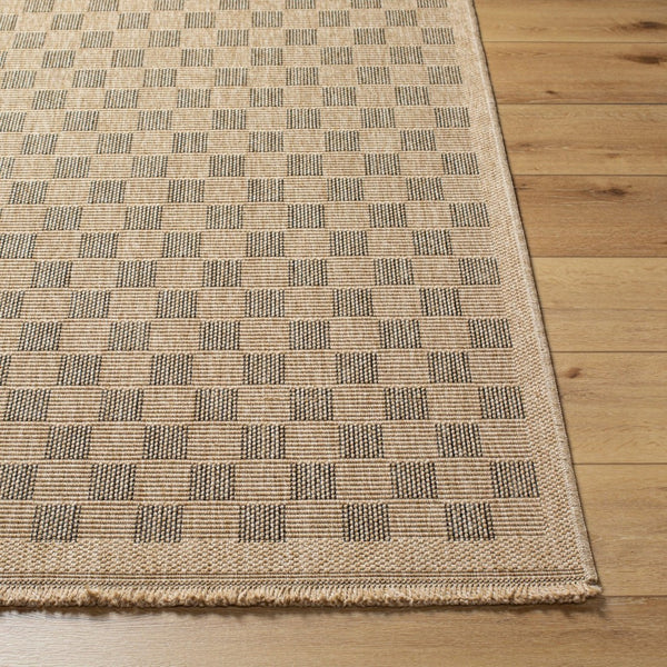 Livabliss Mirage Farmhouse Fringe Accent Rug Flat Weave Polypropylene for Entryway or Patio Tan, Black 3'11" x 5'7" MGE2311-31157