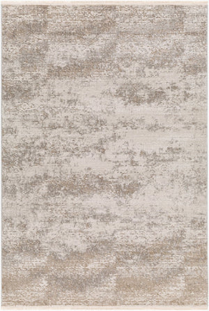 Livabliss Masha High Pile Turkish Machine Woven Area Rug for Living Room or Bedroom MHA2307-9212
