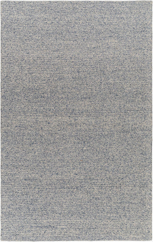 Livabliss Mia Handwoven Wool Flatweave Area Rug Artisan Crafted in India for Any Room Beige, Blue 9' x 12' MIA2300-912
