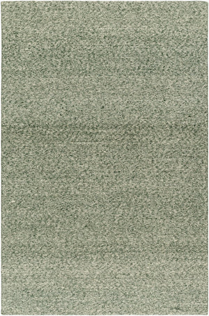 Livabliss Mia Handwoven Wool Flatweave Area Rug for Large Living Dining Rooms Artisan India Medium Green, B 9' x 12' MIA2304-912
