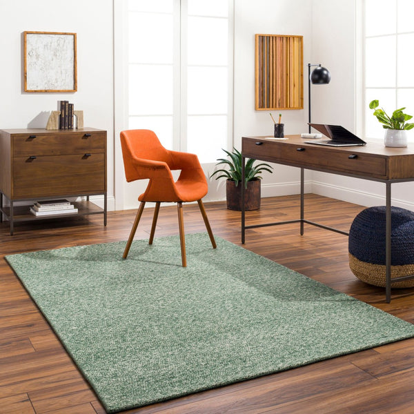 Livabliss Mia Handwoven Wool Flatweave Area Rug for Large Living Dining Rooms Artisan India Medium Green, B 9' x 12' MIA2304-912