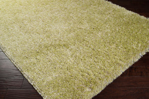 Livabliss Mink Shags Plush Polyester Area Rug for Entryway Bedroom or Bath Soft Pile Accent MIN1005-110211