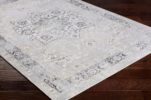 Livabliss Milano Traditional Viscose Blend Area Rug Machine Woven in Turkey for Living Rooms MLN2305-9123