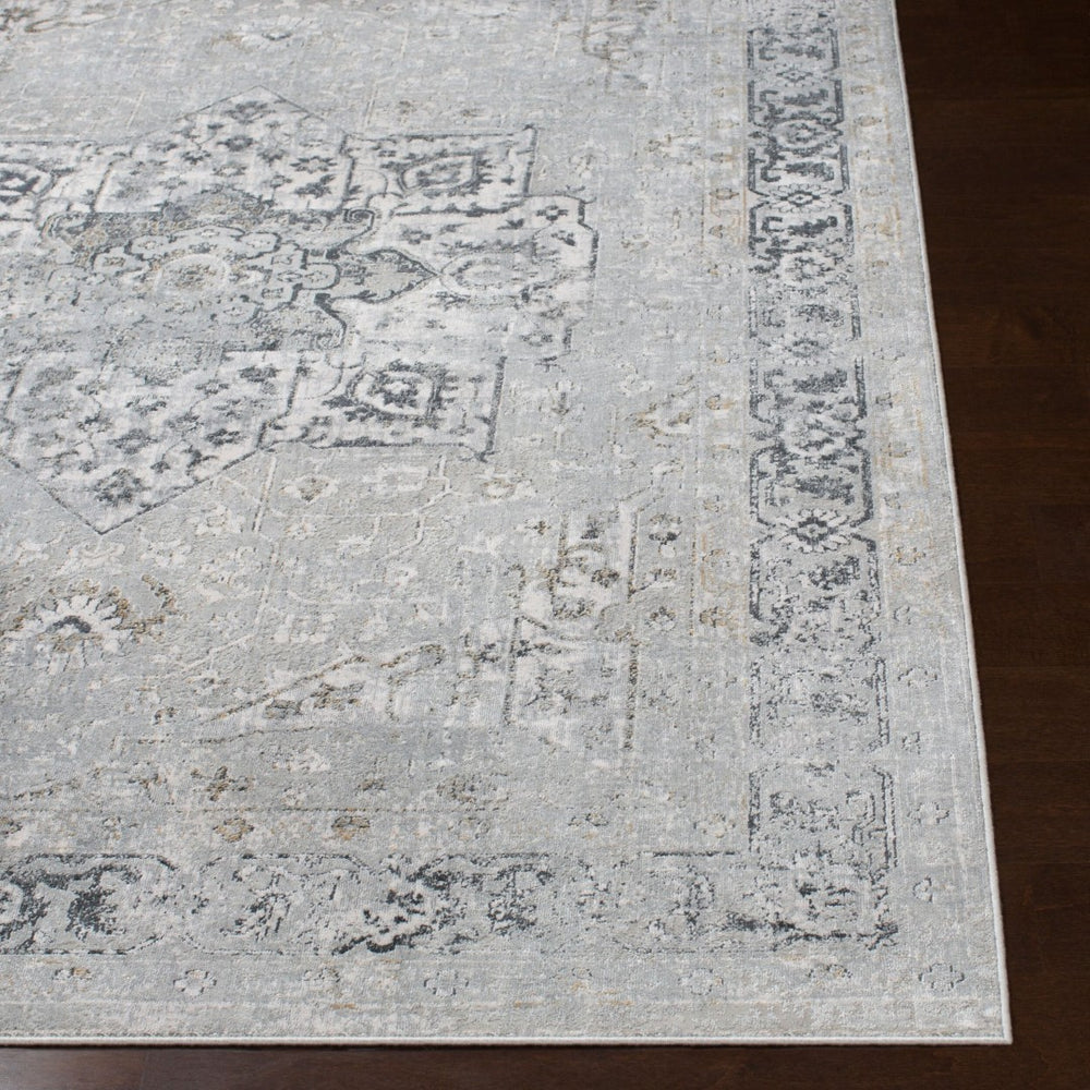 Livabliss Milano Traditional Viscose Blend Area Rug Machine Woven in Turkey for Living Rooms MLN2305-9123