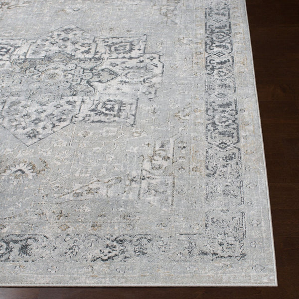 Livabliss Milano Traditional Viscose Blend Area Rug Machine Woven in Turkey for Living Rooms MLN2305-9123
