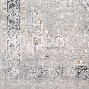 Livabliss Milano Traditional Viscose Blend Area Rug Machine Woven in Turkey for Living Rooms MLN2305-9123