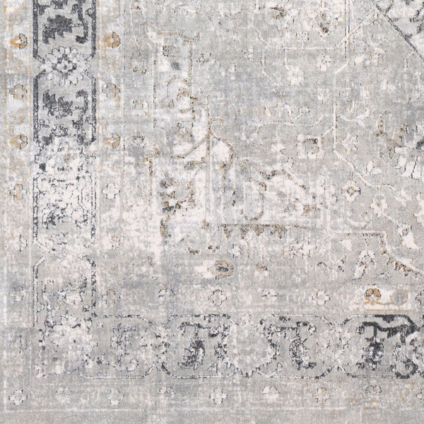 Livabliss Milano Traditional Viscose Blend Area Rug Machine Woven in Turkey for Living Rooms MLN2305-9123