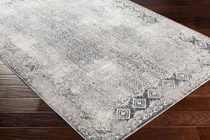 Livabliss Milano Machine Woven Viscose Blend Rug with High Low Pile Sheen for Entryways MLN2307-275