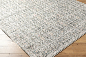 Marlon MLO-2301 9'1" x 12' Machine Woven Rug MLO2301-9112  Slate, Blue, Light Beige, Olive, Dusty Coral Surya