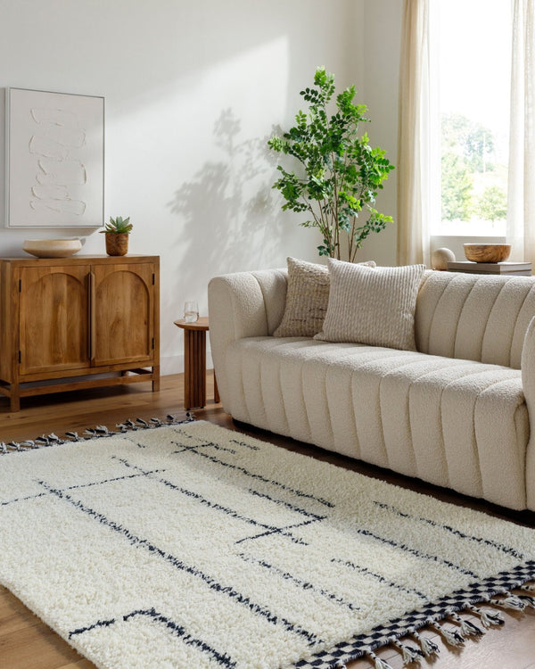 Livabliss Mirela Handwoven Wool Accent Rug with Fringe Bohemian Style for Entryways and Cozy Spaces Ivory, Charcoal 9' x 12' MMI2300-912
