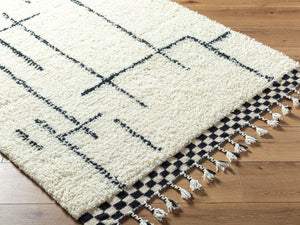 Livabliss Mirela Handwoven Wool Accent Rug with Fringe Bohemian Style for Entryways and Cozy Spaces Ivory, Charcoal 9' x 12' MMI2300-912