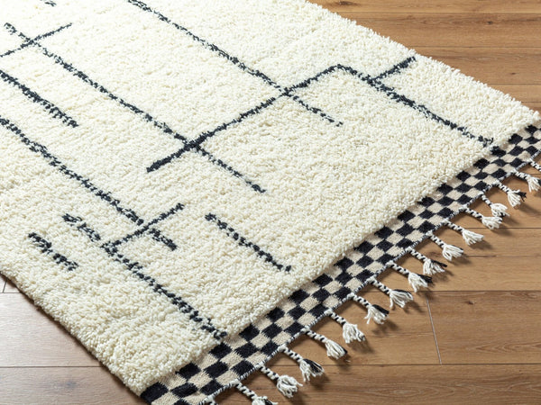 Livabliss Mirela Handwoven Wool Accent Rug with Fringe Bohemian Style for Entryways and Cozy Spaces Ivory, Charcoal 9' x 12' MMI2300-912
