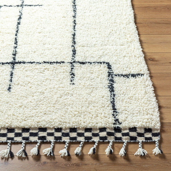 Livabliss Mirela Handwoven Wool Accent Rug with Fringe Bohemian Style for Entryways and Cozy Spaces Ivory, Charcoal 9' x 12' MMI2300-912