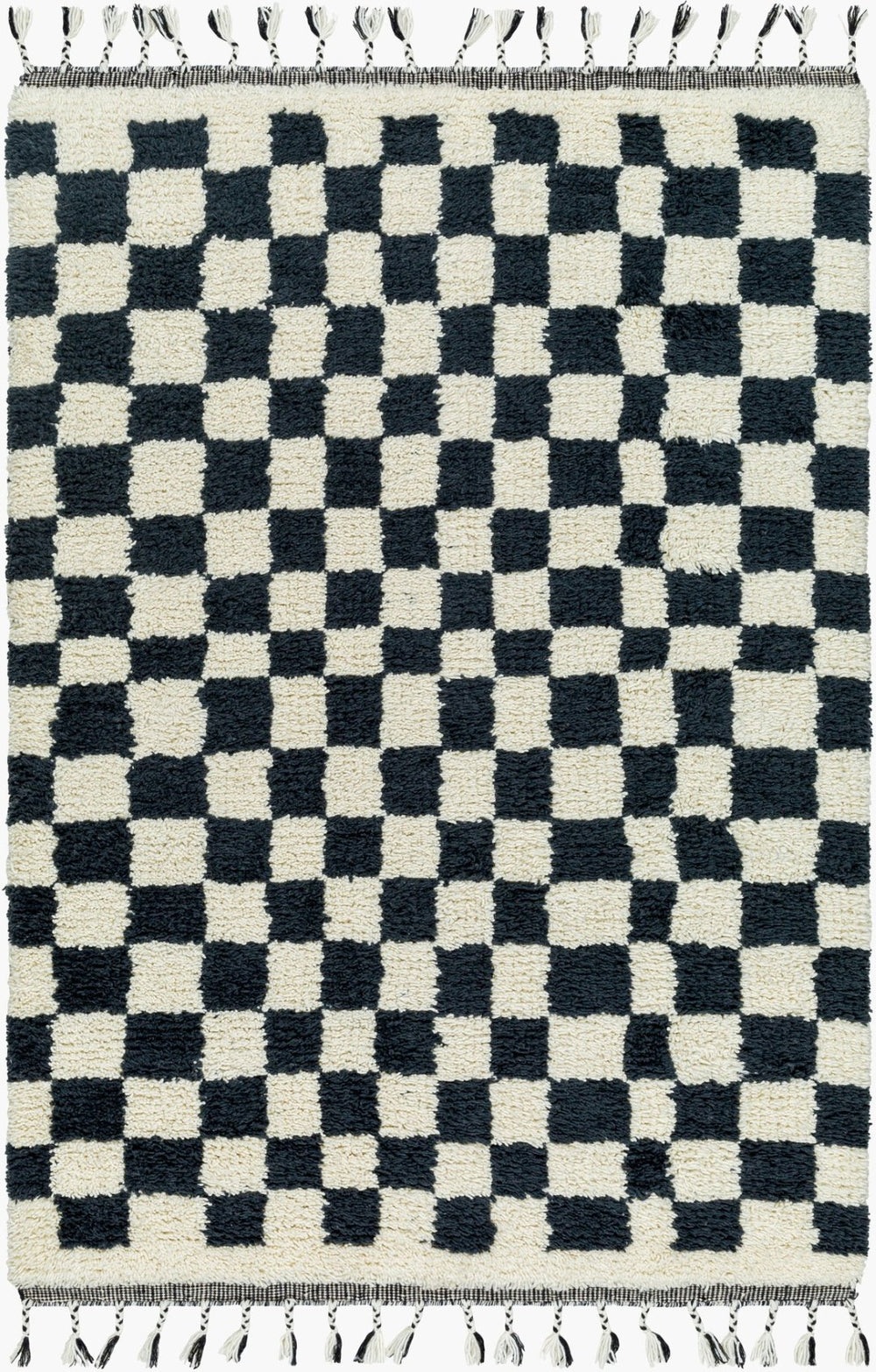 Livabliss Mirela Handwoven Wool Accent Rug with Fringe for Entryways and Bohemian Spaces Charcoal, Ivory 9' x 12' MMI2301-912