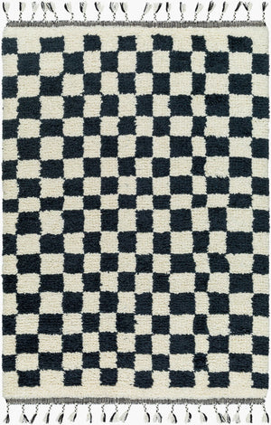 Livabliss Mirela Handwoven Wool Accent Rug with Fringe for Entryways and Bohemian Spaces Charcoal, Ivory 9' x 12' MMI2301-912
