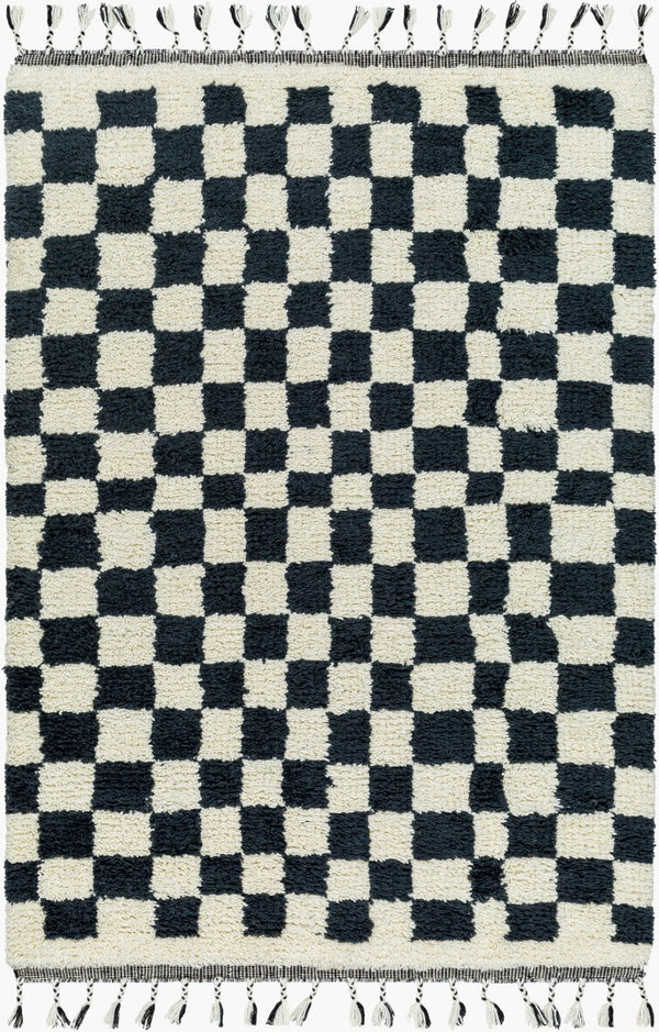 Livabliss Mirela Handwoven Wool Accent Rug with Fringe for Entryways and Bohemian Spaces Charcoal, Ivory 9' x 12' MMI2301-912