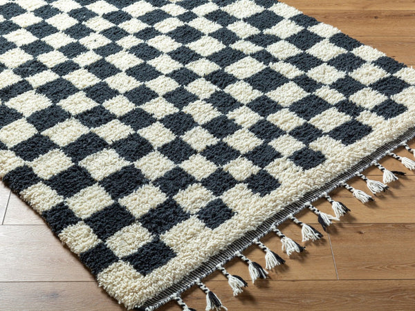 Livabliss Mirela Handwoven Wool Accent Rug with Fringe for Entryways and Bohemian Spaces Charcoal, Ivory 9' x 12' MMI2301-912