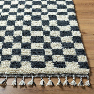 Livabliss Mirela Handwoven Wool Accent Rug with Fringe for Entryways and Bohemian Spaces Charcoal, Ivory 9' x 12' MMI2301-912