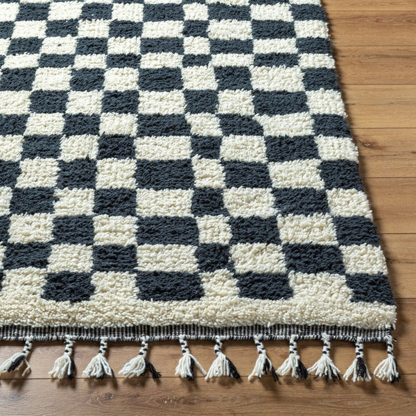 Livabliss Mirela Handwoven Wool Accent Rug with Fringe for Entryways and Bohemian Spaces Charcoal, Ivory 9' x 12' MMI2301-912