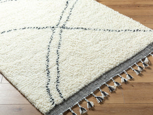 Livabliss Mirela Handwoven Wool Accent Rug with Fringe Border for Bohemian Entryway Decor Ivory, Charcoal 2' x 3' MMI2302-23