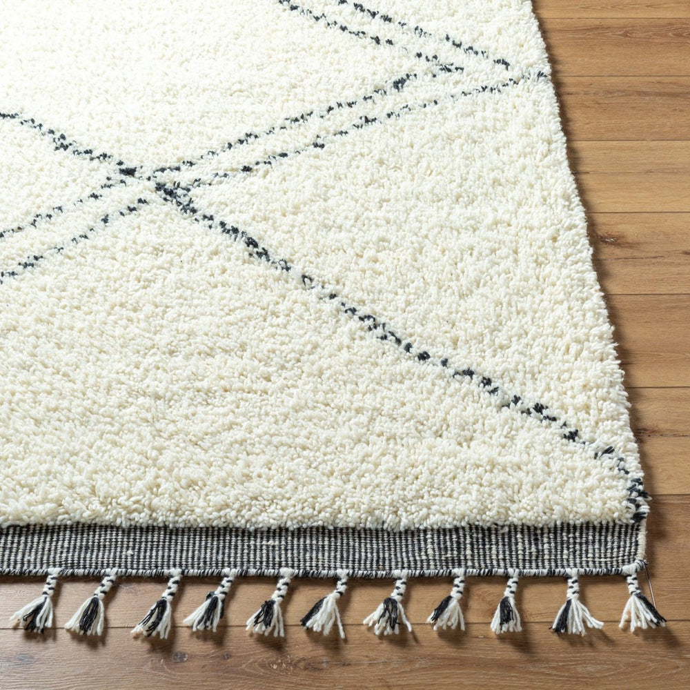 Livabliss Mirela Handwoven Wool Accent Rug with Fringe Border for Bohemian Entryway Decor Ivory, Charcoal 2' x 3' MMI2302-23