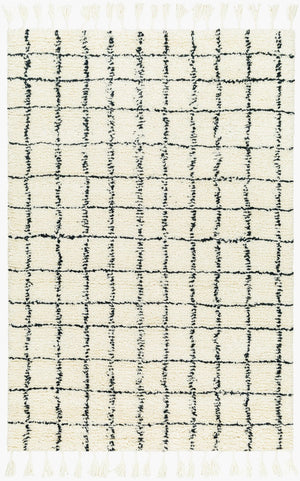 Livabliss Mirela Handwoven Wool Accent Rug Plush Fringe Trim Artisan Crafted for Entryway or Bedside Ivory, Charcoal 9' x 12' MMI2303-912