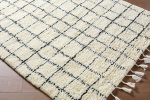 Livabliss Mirela Handwoven Wool Accent Rug Plush Fringe Trim Artisan Crafted for Entryway or Bedside Ivory, Charcoal 9' x 12' MMI2303-912