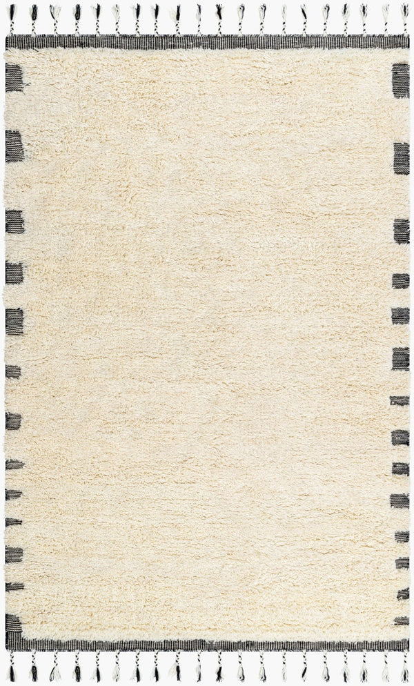 Livabliss Mirela Handwoven Wool Accent Rug with Fringe Artisan Crafted for Entryways and Small Spaces Ivory, Charcoal 9' x 12' MMI2304-912