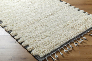 Livabliss Mirela Handwoven Wool Accent Rug with Fringe Artisan Crafted for Entryways and Small Spaces Ivory, Charcoal 9' x 12' MMI2304-912