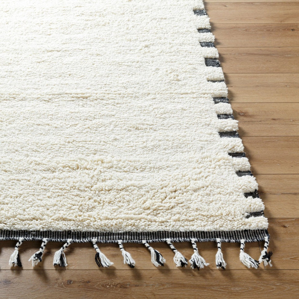 Livabliss Mirela Handwoven Wool Accent Rug with Fringe Artisan Crafted for Entryways and Small Spaces Ivory, Charcoal 9' x 12' MMI2304-912