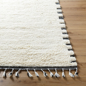 Livabliss Mirela Handwoven Wool Accent Rug with Fringe Artisan Crafted for Entryways and Small Spaces Ivory, Charcoal 9' x 12' MMI2304-912