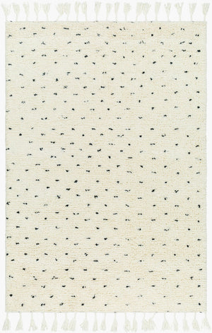 Livabliss Mirela Handwoven Wool Accent Rug with Fringe Artisan Detail for Entryway or Bedroom Ivory, Charcoal 8' x 10' MMI2305-810