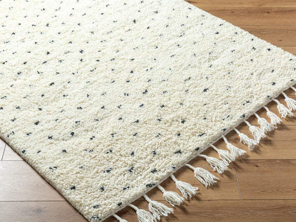 Livabliss Mirela Handwoven Wool Accent Rug with Fringe Artisan Detail for Entryway or Bedroom Ivory, Charcoal 8' x 10' MMI2305-810