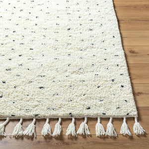 Livabliss Mirela Handwoven Wool Accent Rug with Fringe Artisan Detail for Entryway or Bedroom Ivory, Charcoal 8' x 10' MMI2305-810