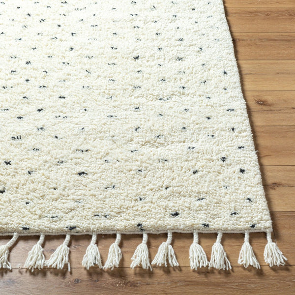 Livabliss Mirela Handwoven Wool Accent Rug with Fringe Artisan Detail for Entryway or Bedroom Ivory, Charcoal 8' x 10' MMI2305-810
