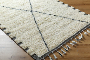 Livabliss Mirela Handwoven Wool Accent Rug with Fringe Plush Pile for Entryway or Bedside Ivory, Charcoal 2' x 3' MMI2306-23