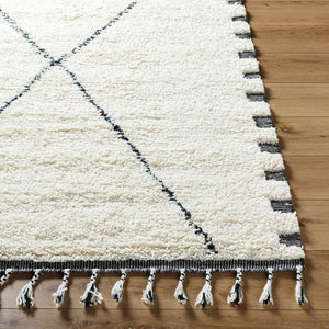 Livabliss Mirela Handwoven Wool Accent Rug with Fringe Plush Pile for Entryway or Bedside Ivory, Charcoal 2' x 3' MMI2306-23