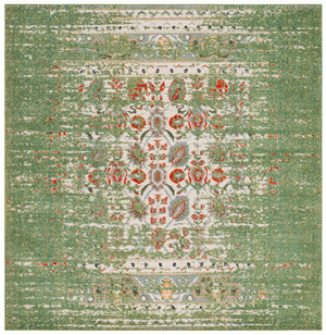 Safavieh Monaco 208 Power Loomed Rug Sage / Rust 9' x 12'
