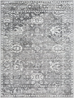 Livabliss Monte Carlo Traditional Polypropylene Runner Rug for Hallways and Entryways Light Gray, Cha 6'11" x 9' MNC2311-679