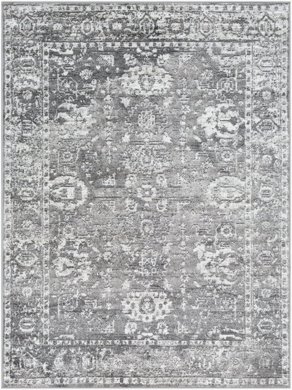 Livabliss Monte Carlo Traditional Polypropylene Runner Rug for Hallways and Entryways Light Gray, Cha 6'11" x 9' MNC2311-679