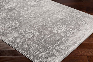 Livabliss Monte Carlo Traditional Polypropylene Runner Rug for Hallways and Entryways Light Gray, Cha 5'3" x 5'3" Square MNC2311-53SQ