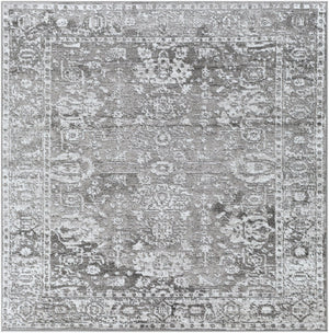 Livabliss Monte Carlo Traditional Polypropylene Runner Rug for Hallways and Entryways Light Gray, Cha 6'7" x 6'7" MNC2311-67SQ
